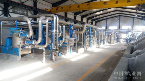 科技創新驅動設備節能環保，惠利造紙業的環保轉型